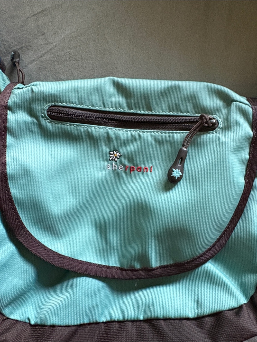 Sherpani Teal and Brown Backpack